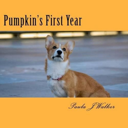 Pumpkin's First Year by Paula J Walker 9781475084689