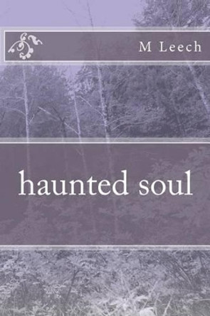 haunted soul by M Leech 9781475086904