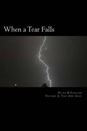 When a Tear Falls by Peter B Forster 9781492819400