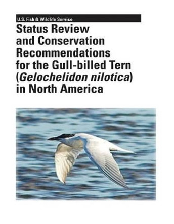 Status Review and Conservation Recommendations for the Gull-billed Tern (Gelochelidon nilotica) in North America by R Michael Erwin 9781479141241