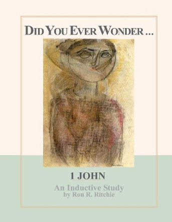 Did You Ever Wonder by Ron Ritchie 9781492151234