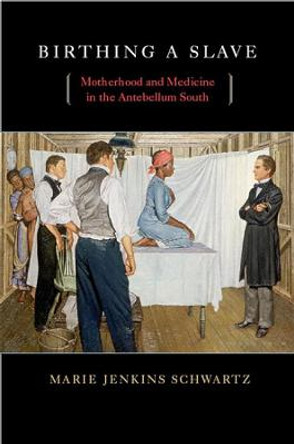 Birthing a Slave: Motherhood and Medicine in the Antebellum South by Marie Jenkins Schwartz