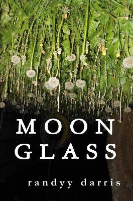 Moon Glass by Randyy Darris 9781365846052
