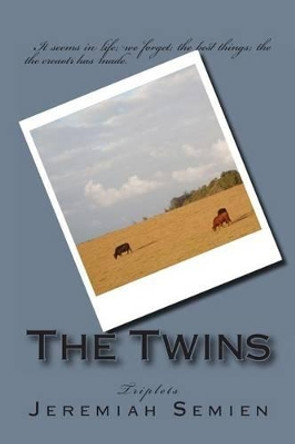 The Twins: Triplets by Jeremiah Semien 9781478298625