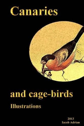 Canaries and cage-birds Illustrations by Iacob Adrian 9781495323195