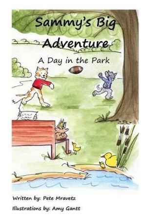A Day in the Park by Amy Gantt 9781491051047
