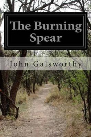 The Burning Spear by John Galsworthy 9781499697803