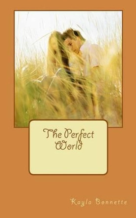 The Perfect World by Kayla Bonnette 9781506193762