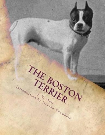 The Boston Terrier by Jackson Chambers 9781507757741