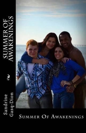 Summer of Awakenings by Jennifer Jacobson 9781482306064