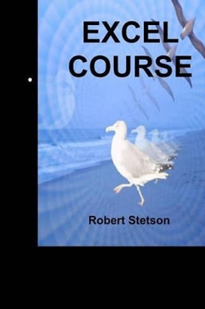Excel Course by Robert Stetson 9781482308440