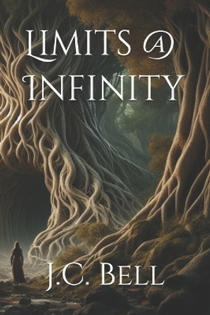 Limits @ Infinity by J C Bell 9781484069585