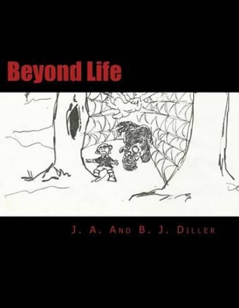 Beyond Life by B J Diller 9781484885406