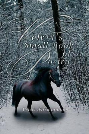 Velvet's Small Book of Poetry by Velvet Fitzsimmons 9781479743346