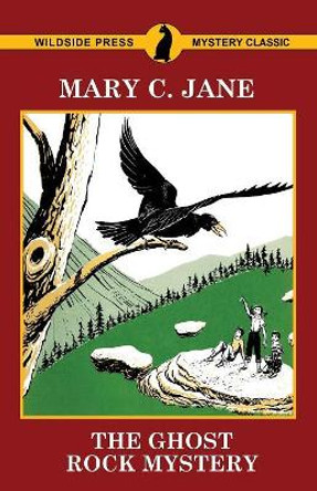 The Ghost Rock Mystery by Mary C Jane 9781479425242