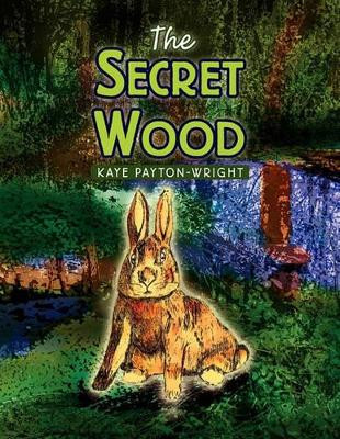 The Secret Wood by Kaye Payton-Wright 9781453503218