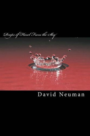 Drops of Hazel From the Sky: A Collection of Poetry by David Neuman 9781461155195