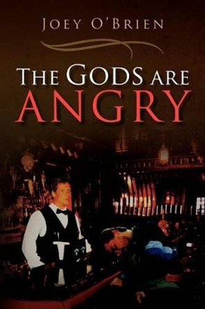 The Gods Are Angry by Joey O'Brien 9781462848522