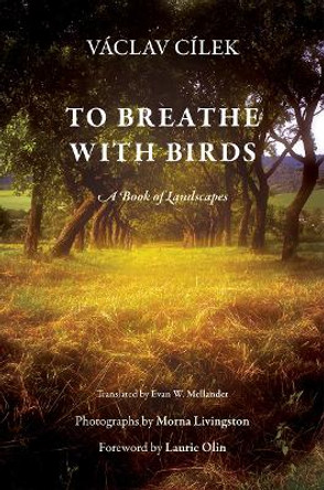 To Breathe with Birds: A Book of Landscapes by Vaclav Cilek