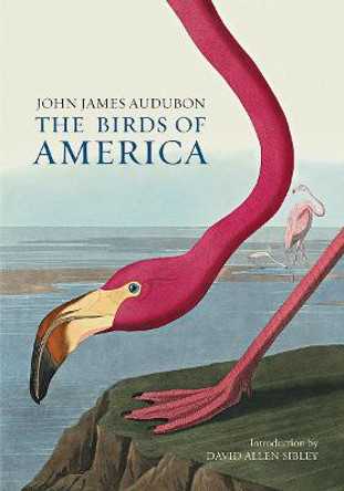 The Birds of America by John James Audubon