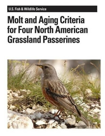 Molt and Aging Criteria for Four North American Grassland Passerines by Stephanie L Jones 9781479135493