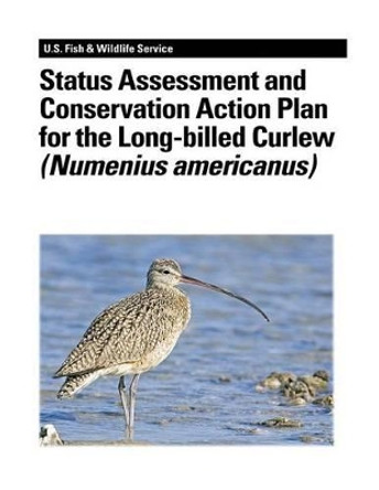 Status Assessment and Conservation Action Plan for the Long-billed Curlew (Numenius americanus) by Stephanie L Jones 9781479141173