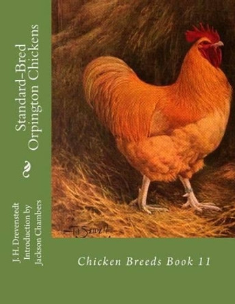 Standard-Bred Orpington Chickens: Chicken Breeds Book 11 by Jackson Chambers 9781515338482