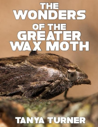 The Greater Wax Moth: Do Your Kids Know This? a Children's Picture Book by Tanya Turner 9781537545332