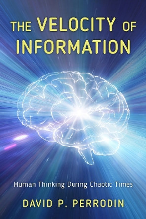 The Velocity of Information: Human Thinking During Chaotic Times by David P. Perrodin 9781475865448