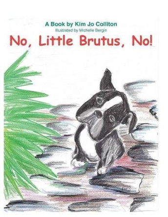 No Little Brutus No by Michelle Bergin 9781496022721