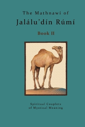 The Mathnawi of Jalalu'din Rumi - Book 2: The Mathnawi of Jalalu'din Rumi - Book 2 by Michael Bielas 9781533505651