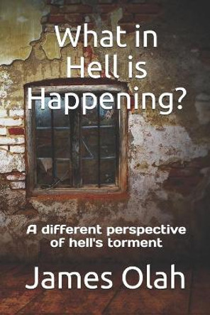 What in Hell Is Happening?: A Different Perspective of Hell's Torment by James Olah 9781517270971