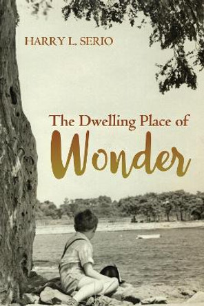 The Dwelling Place of Wonder by Harry L Serio 9781498291590