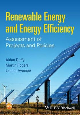 Renewable Energy and Energy Efficiency: Assessment of Projects and Policies by Martin Rogers