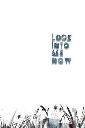 Look Into Me Now: a book of abandoned things by Kseniia Sapunkova 9781514101384