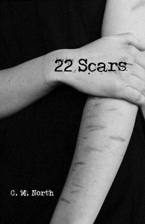 22 Scars by C M North 9781546705949