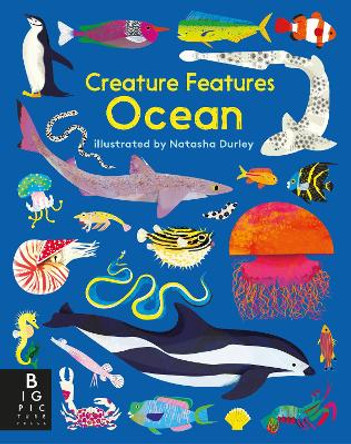 Creature Features: Ocean by Big Picture Press 9781536217087