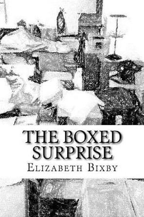 The Boxed Surpirse by Elizabeth Bixby 9781543287592