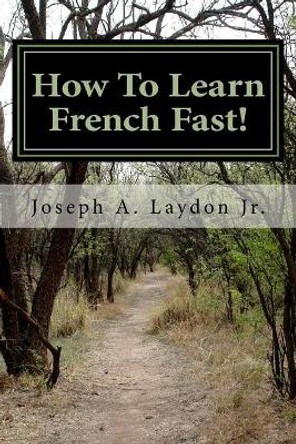 How to Learn French Fast!: 3,399 Ways to Speak French Instantly! by MR Joseph a Laydon Jr 9781543199406