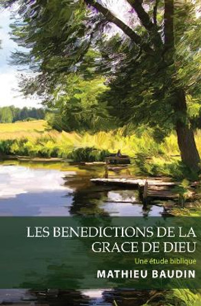 Les Benedictions de la Grace de Dieu by Mathieu Baudin 9781532668821