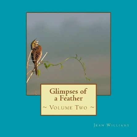 Glimpses of a Feather - Volume Two by Jean Williams 9781544815381