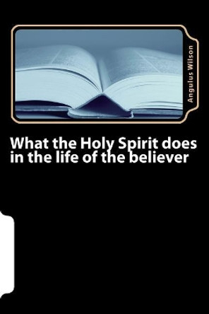 What the Holy Spirit does in the life of the believer by Angulus D Wilson Phd 9781547132072