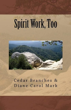 Spirit Work, Too by Diane Carol Mark 9781543289640