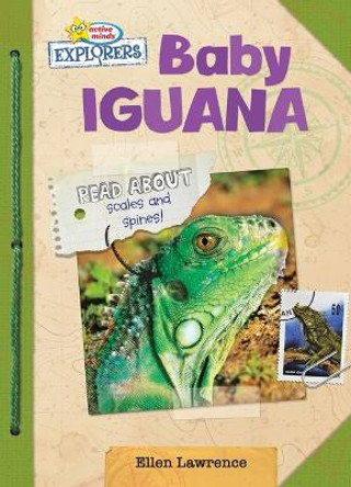Baby Iguana by Ellen Lawrence 9781649962201