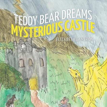 Teddy Bear Dreams Mysterious Castle by Elizabeth a Vallis Mittelsteadt 9781641112963