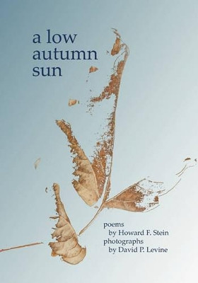 A Low Autumn Sun by Howard Stein 9781594571190
