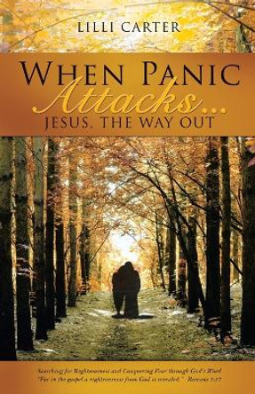 When Panic Attacks ... by LILLI Carter 9781606479599