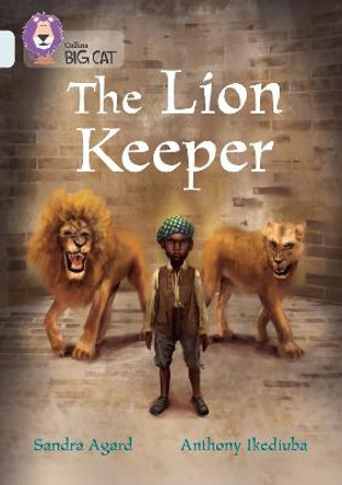 Boy: Band 17/Diamond (Collins Big Cat) by Sandra Agard