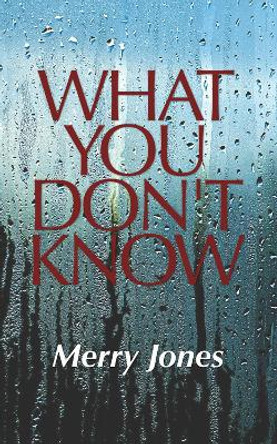 What You Don't Know by Merry Jones 9781638772057