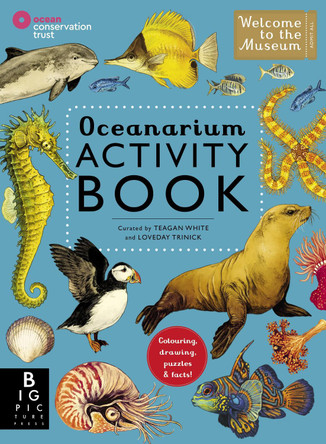 Oceanarium Activity by Loveday Trinick
